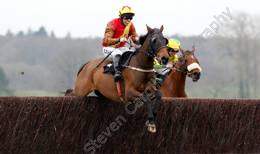 Graceful-Legend-0001 
 GRACEFUL LEGEND (Max Kendrick) wins The Be Wiser Insurance Handicap Chase
Newbury 22 Mar 2019 - Pic Steven Cargill / Racingfotos.com