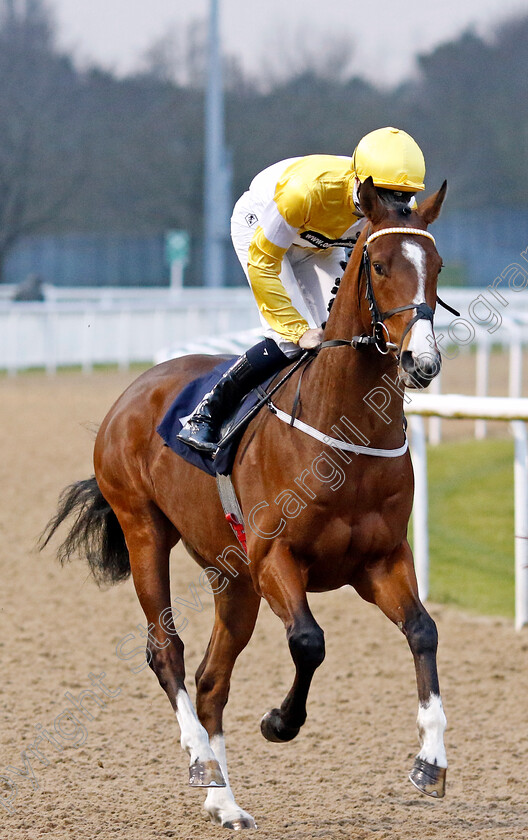 Quiet-Resolve-0002 
 QUIET RESOLVE (Oisin Orr)
Wolverhampton 9 Mar 2024 - Pic Steven Cargill / Racingfotos.com