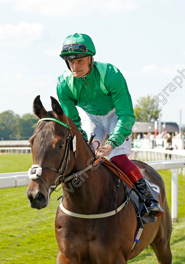 Cool-Run-0001 
 COOL RUN (Callum Rodriguez)
York 16 Jun 2023 - Pic Steven Cargill / Racingfotos.com