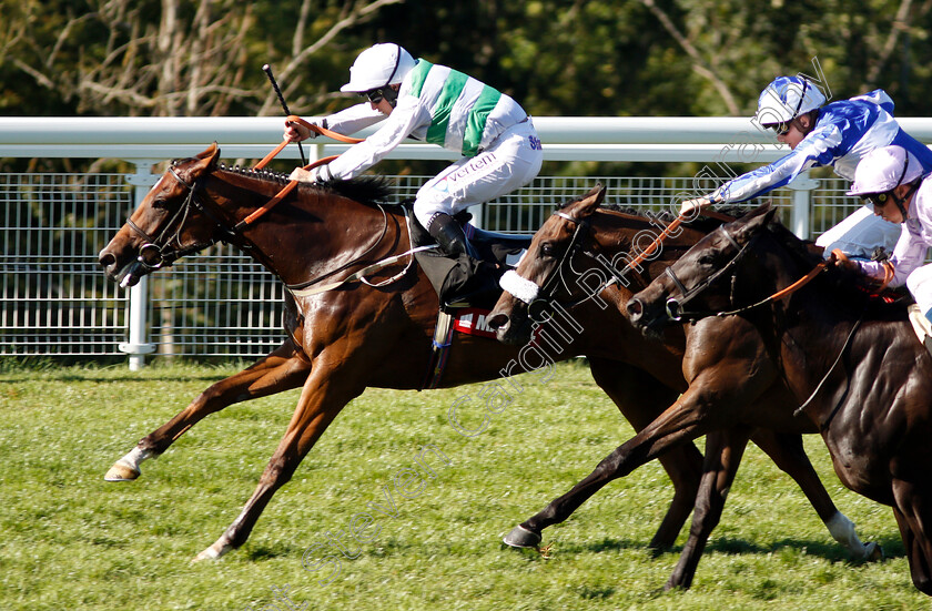 Accordance-0005 
 ACCORDANCE (P J McDonald) beats RUX POWER (2nd right) and LADY COSETTE (right) in The Markel Insurance British EBF Maiden Fillies Stakes
Goodwood 2 Aug 2018 - Pic Steven Cargill / Racingfotos.com