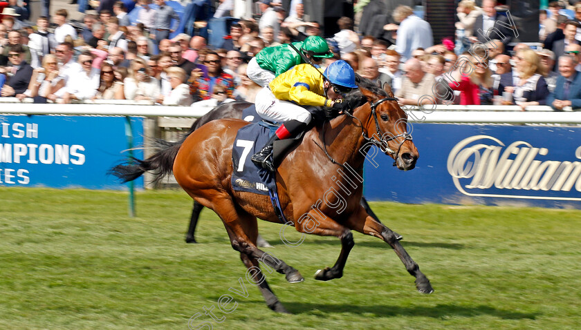 Stay-Alert-0005 
 STAY ALERT (David Egan) wins The William Hill Dahlia Stakes
Newmarket 5 May 2024 - Pic Steven Cargill / Racingfotos.com