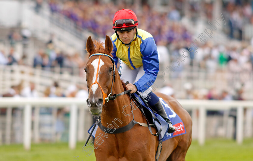 Rhythmic-Intent-0002 
 RHYTHMIC INTENT (Marco Ghiani)
York 17 Jun 2023 - Pic Steven Cargill / Racingfotos.com