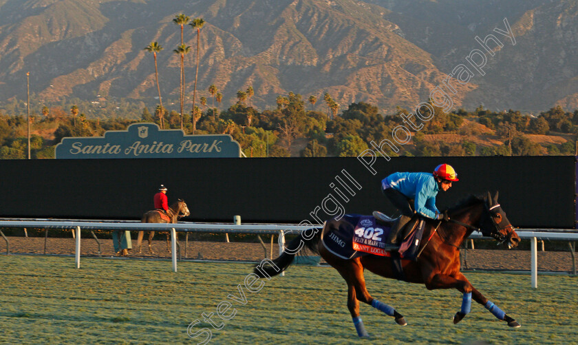 Fanny-Logan-0001 
 FANNY LOGAN (Frankie Dettori) training for the Breeders' Cup Filly & Mare Turf
Santa Anita USA 30 Oct 2019 - Pic Steven Cargill / Racingfotos.com