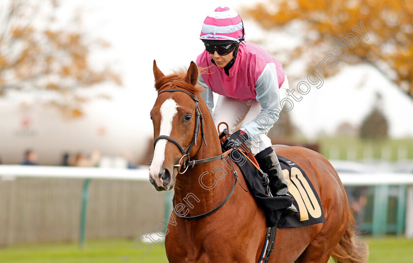 Lord-Warburton-0001 
 LORD WARBURTON (Hayley Turner)
Newmarket 23 Oct 2019 - Pic Steven Cargill / Racingfotos.com