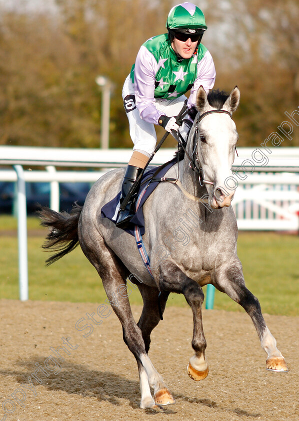 Marble-Bay-0001 
 MARBLE BAY (Tom Queally)
Lingfield 18 Dec 2019 - Pic Steven Cargill / Racingfotos.com