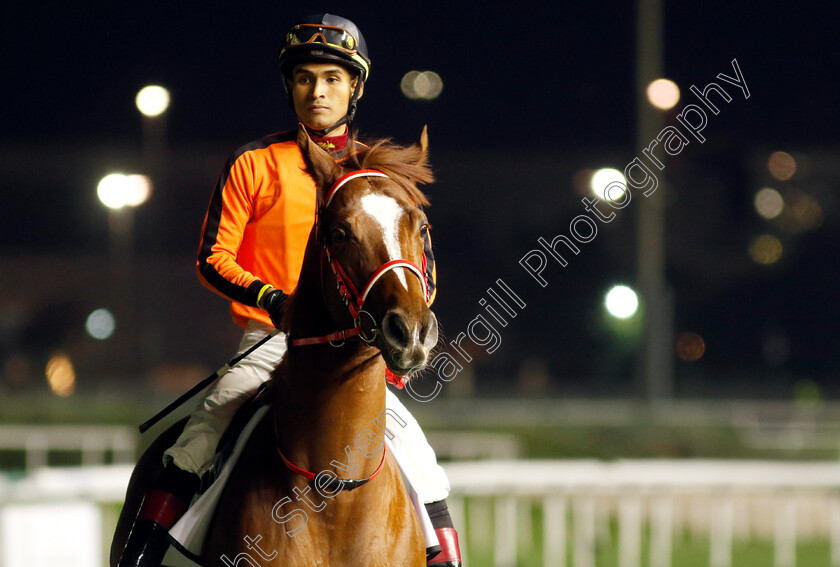 Urgent-Appeal-0001 
 URGENT APPEAL (Omar Isaac Hernandez Salas)
Meydan 2 Feb 2024 - Pic Steven Cargill / Racingfotos.com