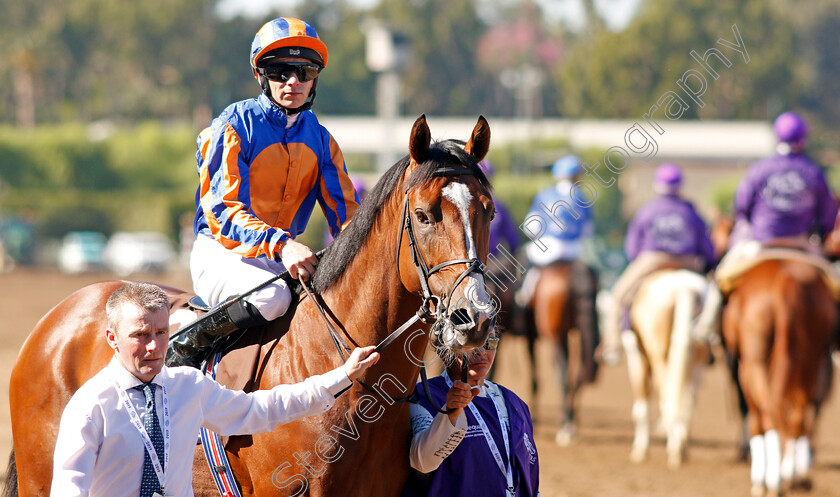 Fort-Myers-0002 
 FORT MYERS (Wayne Lordan)
Santa Anita 1 Nov 2019 - Pic Steven Cargill / Racingfotos.com