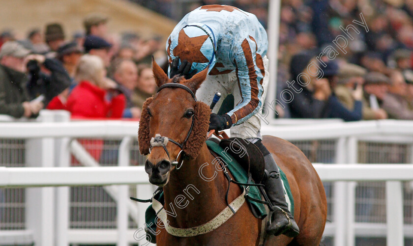 Duke-Street-0007 
 DUKE STREET (Cillin Leonard) wins The Two Farmers Crisps Handicap Hurdle
Cheltenham 25 Oct 2019 - Pic Steven Cargill / Racingfotos.com