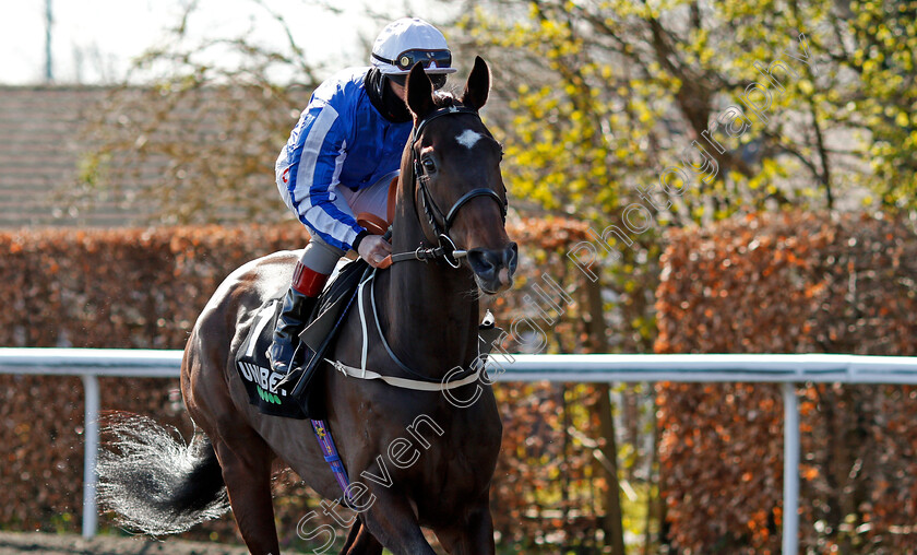 King-Zain-0002 
 KING ZAIN (Franny Norton)
Kempton 5 Apr 2021 - Pic Steven Cargill / Racingfotos.com