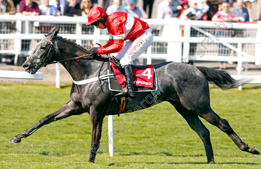 Diese-Des-Bieffes-0007 
 DIESE DES BIEFFES (Noel Fehily) wins The Citipost Novices Hurdle Cheltenham 18 Apr 2018 - Pic Steven Cargill / Racingfotos.com