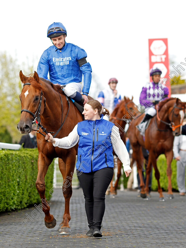 Notable-Speech-0006 
 NOTABLE SPEECH (William Buick) winner of The Virgin Bet Best Odds Daily British EBF Conditions Stakes
Kempton 6 Apr 2024 - Pic Steven Cargill / Racingfotos.com