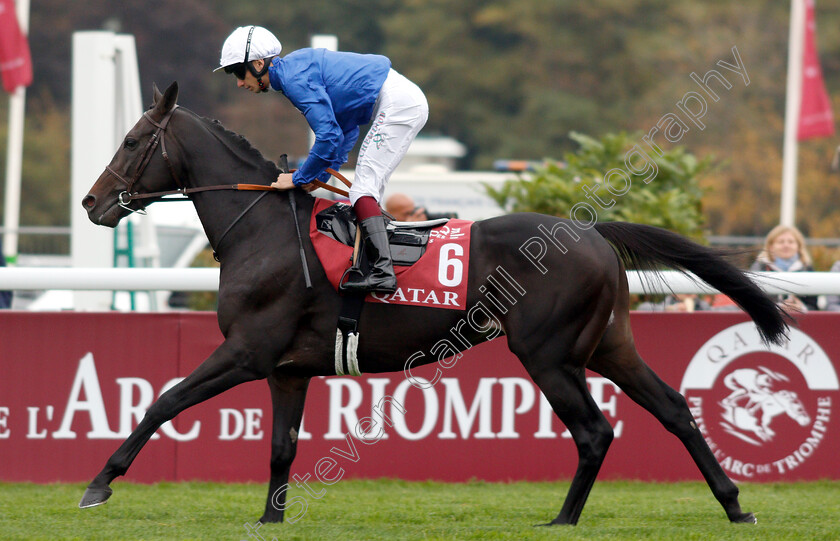 Cloth-Of-Stars-0001 
 CLOTH OF STARS (V Cheminaud)
Longchamp 7 Oct 2018 - Pic Steven Cargill / Racingfotos.com