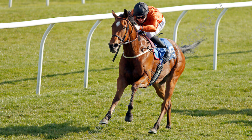 Kingmania-0006 
 KINGMANIA (Pat Cosgrave) wins The leicester-racecourse.co.uk Handicap
Leicester 24 Apr 2021 - Pic Steven Cargill / Racingfotos.com