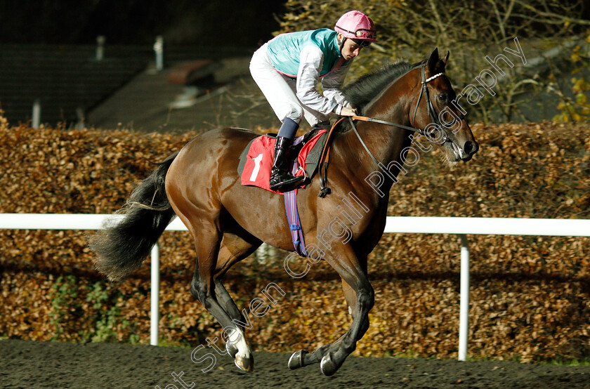 Headman-0003 
 HEADMAN (Kieran Shoemark)
Kempton 21 Nov 2018 - Pic Steven Cargill / Racingfotos.com