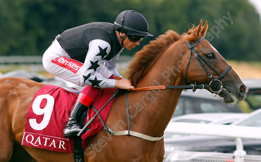 Rumble-Inthejungle-0001 
 RUMBLE INTHEJUNGLE (Frankie Dettori)
Goodwood 2 Aug 2019 - Pic Steven Cargill / Racingfotos.com