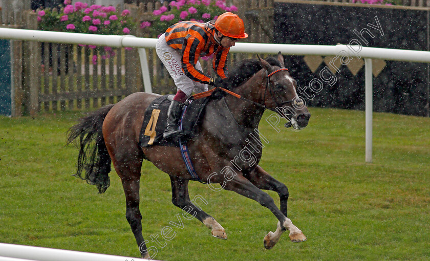 Dancing-Harry-0004 
 DANCING HARRY (Oisin Murphy) wins The Federation of Bloodstock Agents Handicap
Newmarket 7 Aug 2021 - Pic Steven Cargill / Racingfotos.com