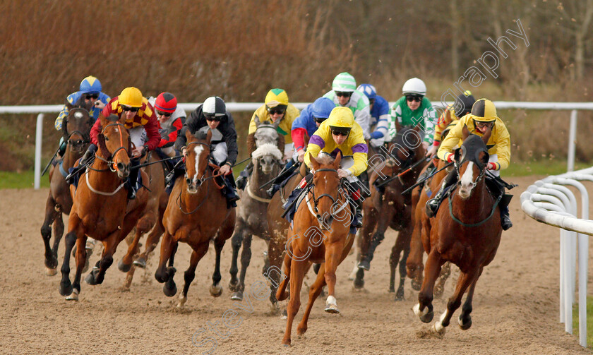 Reasoned-0002 
 REASONED (2nd right, Shane Kelly) beats ENGLISHMAN (right) in The #Betyourway At Betway Handicap Div1
Wolverhampton 3 Jan 2020 - Pic Steven Cargill / Racingfotos.com