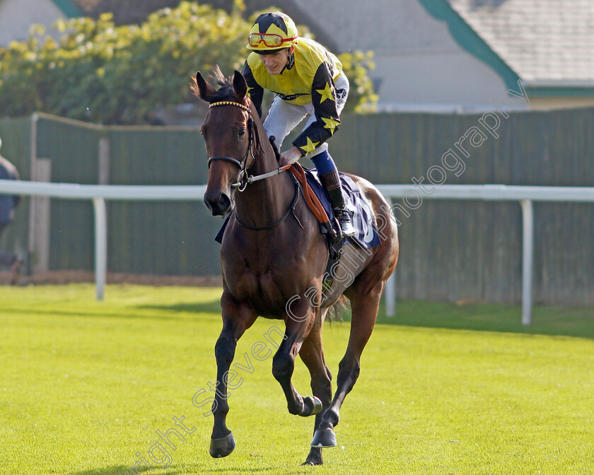 Oblong-Song-0001 
 OBLONG SONG (David Egan)
Yarmouth 19 Oct 2021 - Pic Steven Cargill / Racingfotos.com