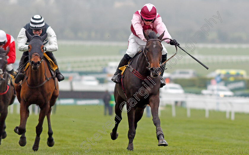 Galahad-Quest-0004 
 GALAHAD QUEST (Harry Cobden) wins The JCB Triumph Trial Juvenile Hurdle
Cheltenham 25 Jan 2020 - Pic Steven Cargill / Racingfotos.com