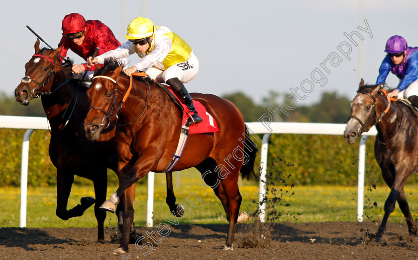 Noisy-Night-0006 
 NOISY NIGHT (Richard Kingscote) beats BLUEBERRY HILL (left) in The Unibet British Stallion Studs EBF Novice Stakes
Kempton 4 Aug 2021 - Pic Steven Cargill / Racingfotos.com