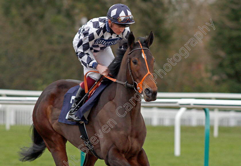 Cry-Havoc 
 CRY HAVOC (Rob Hornby)
Lingfield 1 Dec 2021 - Pic Steven Cargill / Racingfotos.com