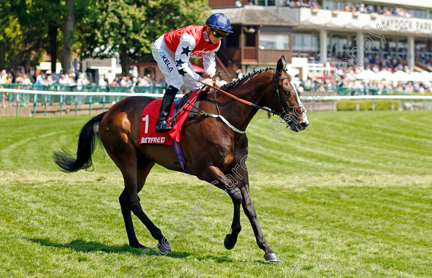 Auld-Toon-Loon-0001 
 AULD TOON LOON (Jason Watson)
Haydock 27 May 2023 - Pic Steven Cargill / Racingfotos.com