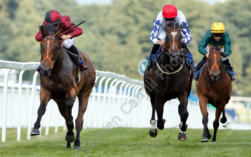 Rogue-0005 
 ROGUE (Thore Hammer Hansen) beats LOS CAMACHOS (2nd right) in The coral.co.uk Handicap
Sandown 7 Jul 2018 - Pic Steven Cargill / Racingfotos.com