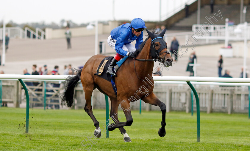 Trawlerman-0005 
 TRAWLERMAN (Frankie Dettori) wins The Jockey Club Rose Bowl Stakes
Newmarket 28 Sep 2023 - Pic Steven Cargill / Racingfotos.com