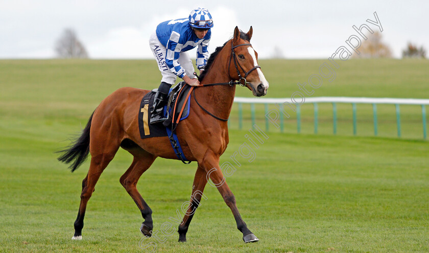 Soto-Sizzler-0002 
 SOTO SIZZLER (Ryan Moore) winner of The 888sport Handicap
Newmarket 29 Oct 2021 - Pic Steven Cargill / Racingfotos.com