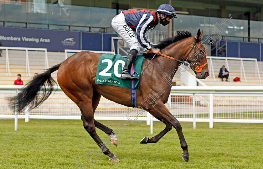 Happy-Romance-0002 
 HAPPY ROMANCE (Sean Levey) winner of The Weatherbys Super Sprint
Newbury 19 Jul 2020 - Pic Steven Cargill / Racingfotos.com