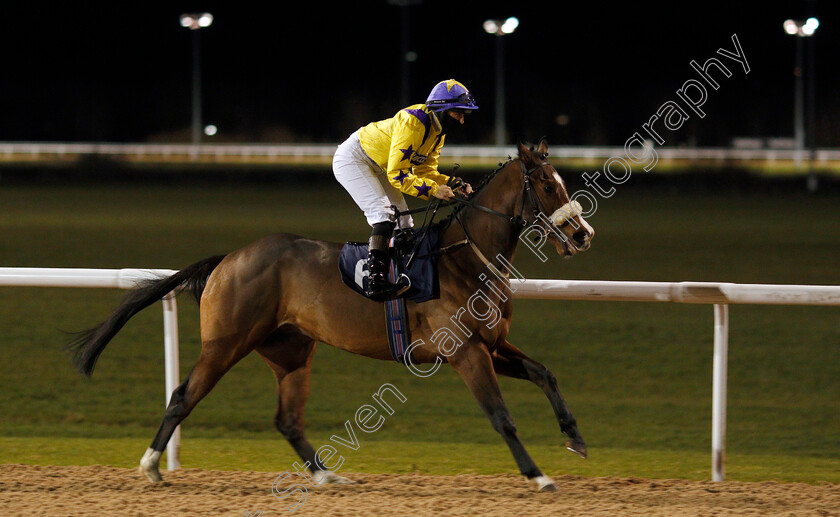 Tashbeeh-0001 
 TASHBEEH (Josephine Gordon)
Wolverhampton 11 Jan 2021 - Pic Steven Cargill / Racingfotos.com