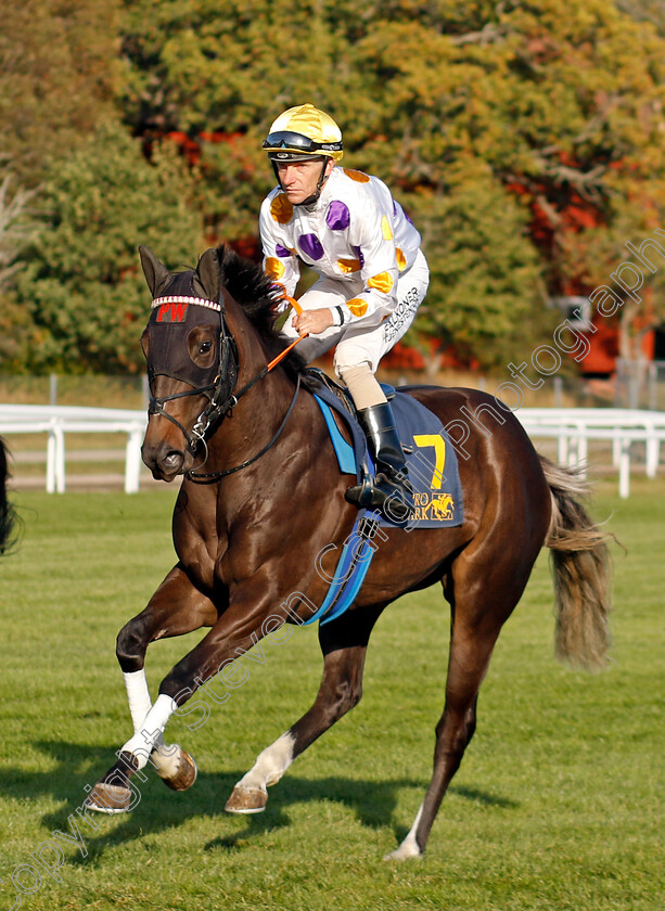 News-Ahead-0001 
 NEWS AHEAD (Jacob Johansen)
Bro Park, Sweden 15 Sep 2024 - Pic Steven Cargill / Racingfotos.com