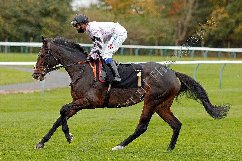 Miranda-0001 
 MIRANDA (Megan Nicholls)
Nottingham 28 Oct 2020 - Pic Steven Cargill / Racingfotos.com