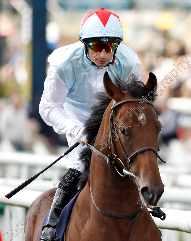 Fares-Kodiac-0001 
 FARES KODIAC (Gerald Mosse)
Doncaster 12 Sep 2018 - Pic Steven Cargill / Racingfotos.com