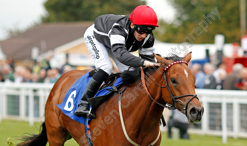 Herecomesthesun-0008 
 HERECOMESTHESUN (Edward Greatrex) wins The British EBF Quidhampton Maiden Fillies Stakes Div1 Salisbury 7 Sep 2017 - Pic Steven Cargill / Racingfotos.com