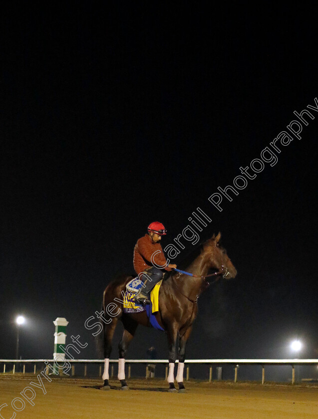 Flightline-0003 
 FLIGHTLINE training for the Breeders' Cup Classic
Keeneland USA 2 Nov 2022 - Pic Steven Cargill / Racingfotos.com