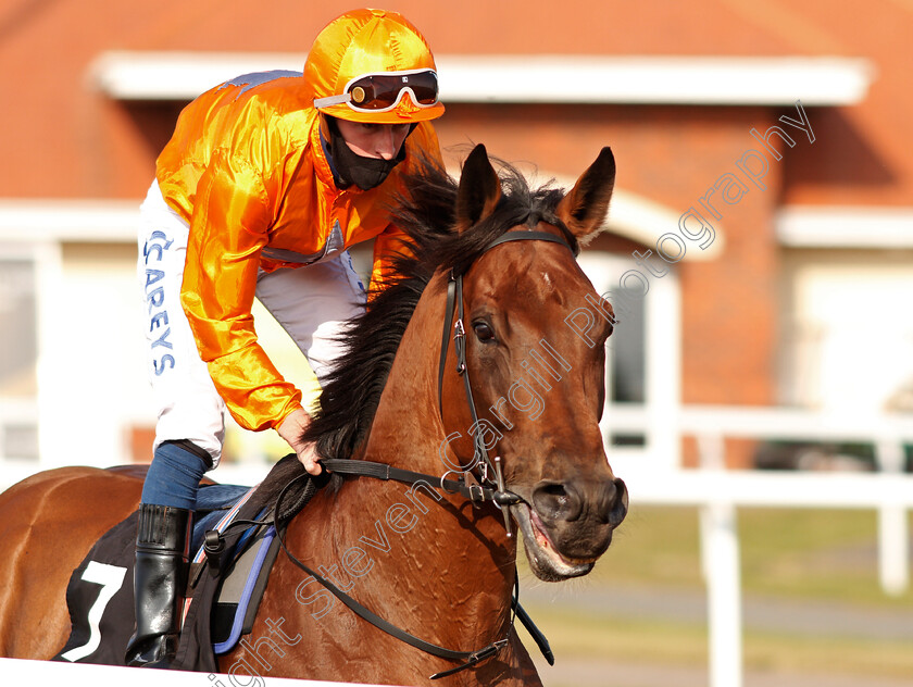 Lep-0001 
 LEP (Joey Haynes)
Chelmsford 20 Sep 2020 - Pic Steven Cargill / Racingfotos.com