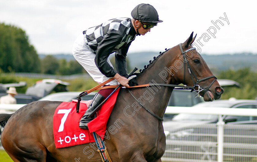 Lavender s-Blue-0001 
 LAVENDER'S BLUE (Rob Hornby) winner of The Tote Celebration Mile
Goodwood 28 Aug 2021 - Pic Steven Cargill / Racingfotos.com