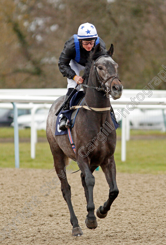 Mykindofsunshine-0001 
 MYKINDOFSUNSHINE (William Carson)
Lingfield 2 Jan 2020 - Pic Steven Cargill / Racingfotos.com