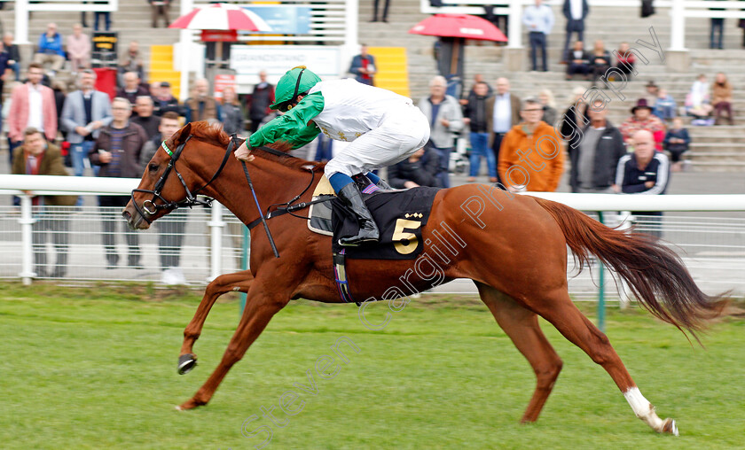 Zebelle-0006 
 ZEBELLE (William Buick) wins The Anderson Green Nursery
Nottingham 13 Oct 2021 - Pic Steven Cargill / Racingfotos.com