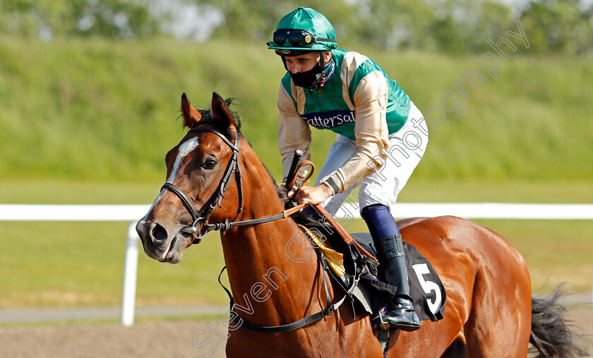 Streak-Jazz-0001 
 STREAK JAZZ (Ryan Tate)
Chelmsford 3 Jun 2021 - Pic Steven Cargill / Racingfotos.com