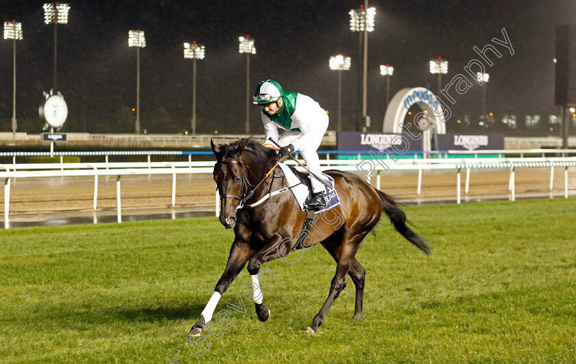 Royal-Commando-0001 
 ROYAL COMMANDO (Mickael Barzalona)
Meydan 27 Jan 2023 - Pic Steven Cargill / Racingfotos.com