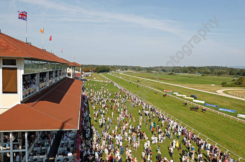 Zarqana-0002 
 ZARQANA (Esther Ruth Weismeier) wins The Preis Der Pfeiffer & May Gruppe Karlsruhe
Baden-Baden 31 Aug 2024 - Pic Steven Cargill / Racingfotos.com