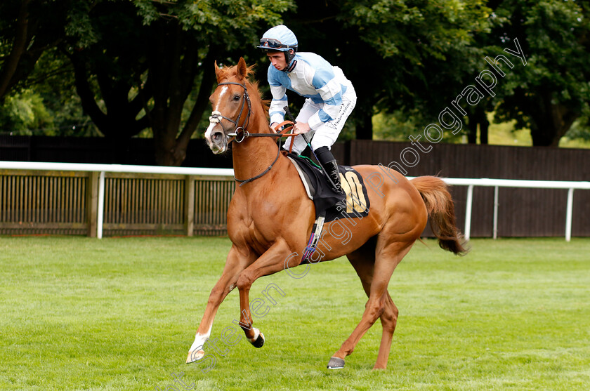 Divine-Breath-0001 
 DIVINE BREATH (Rossa Ryan)
Newmarket 13 Jul 2024 - Pic Steven Cargill / Racingfotos.com