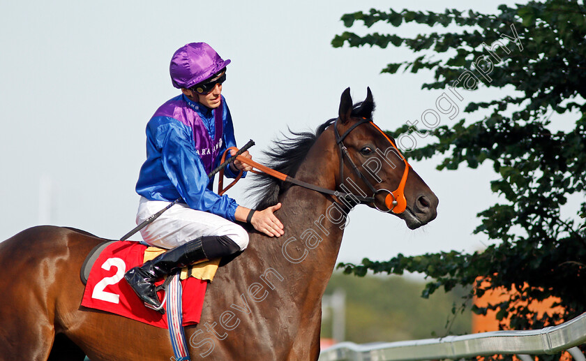 Athmad-0001 
 ATHMAD (James Doyle)
Sandown 30 Aug 2019 - Pic Steven Cargill / Racingfotos.com