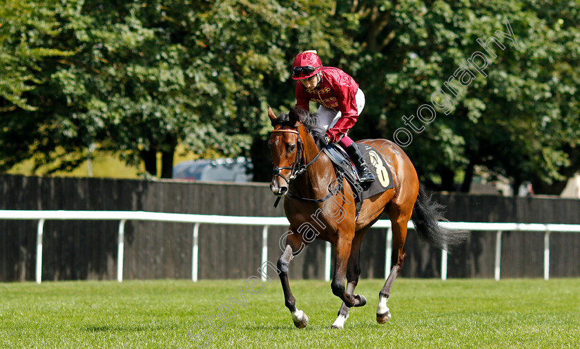 Sunstrike-0001 
 SUNSTRIKE (Oisin Murphy)
Newmarket 7 Aug 2021 - Pic Steven Cargill / Racingfotos.com