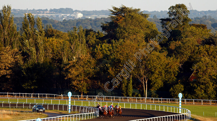 Kempton-0001 
 Runners turn for home in the Unibet Extra Place Offers Every Day Noivce Stakes Div1 won by ENDURED with Epsom Racecourse grandstand visible in the distance
Kempton 18 Aug 2020 - Pic Steven Cargill / Racingfotos.com