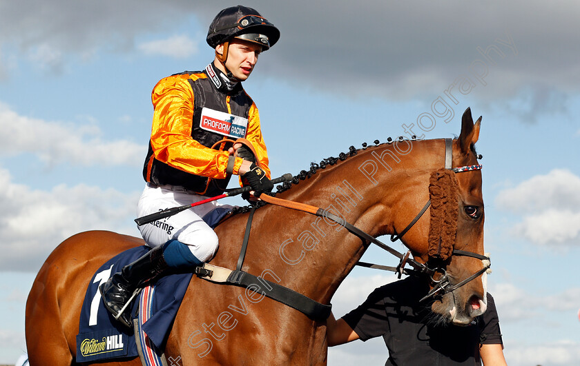 Big-Country-0001 
 BIG COUNTRY (Alistair Rawlinson)
Doncaster 11 Sep 2019 - Pic Steven Cargill / Racingfotos.com