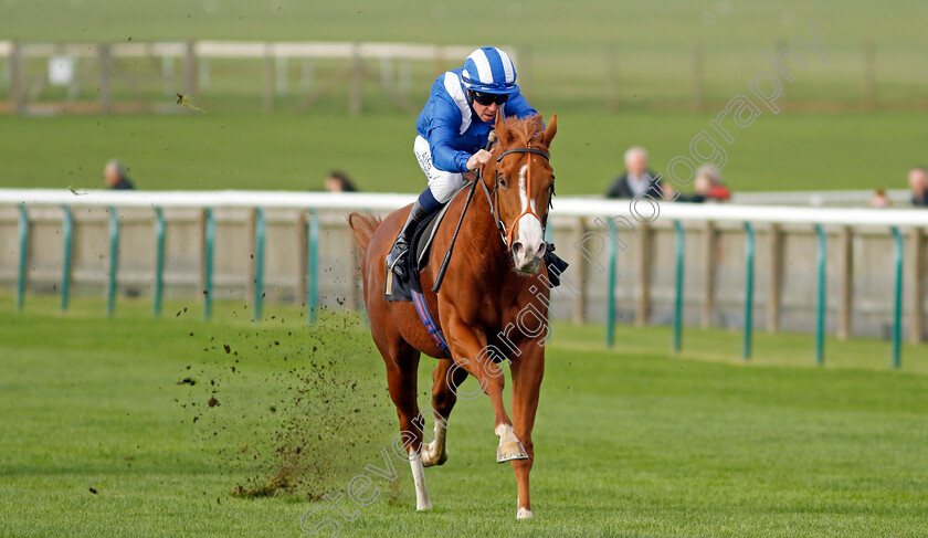 Ehraz-0004 
 EHRAZ (Jim Crowley) wins The British Stallion Studs EBF Conditions Stakes
Newmarket 28 Oct 2022 - Pic Steven Cargill / Racingfotos.com