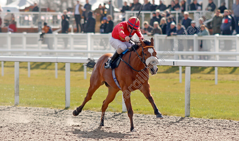 Mashaan-0002 
 MASHAAN (Kieran O'Neill) wins The Inaugural LB Group Handicap
Chelmsford 31 Mar 2022 - Pic Steven Cargill / Racingfotos.com